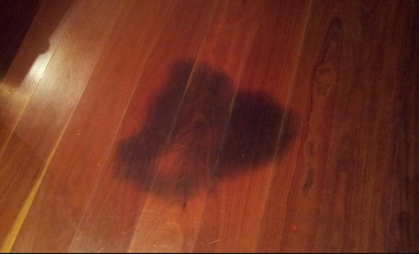 How To Remove Black Urine Stains From Hardwood Floors: Pro Tips