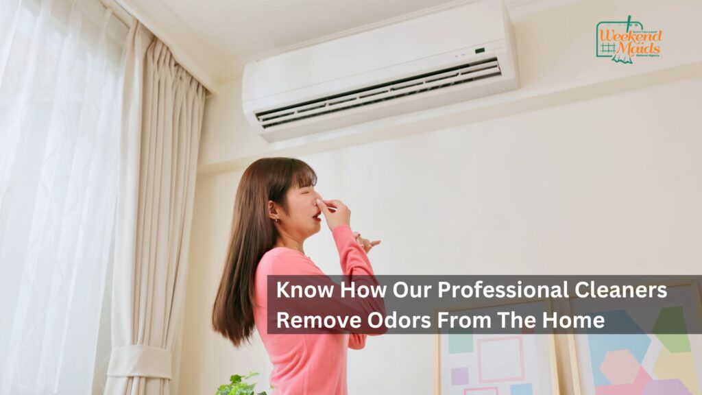 Know How Our Professional Cleaners Remove Odors From The Home